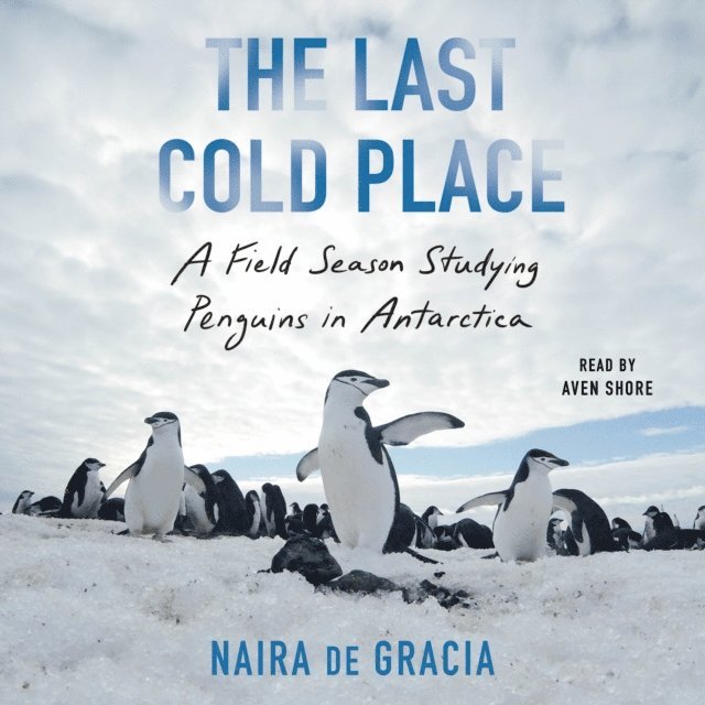 Naira de Gracia - Last Cold Place, Ljudbok