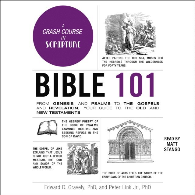 Peter Link, Edward D. Gravely - Bible 101, Ljudbok