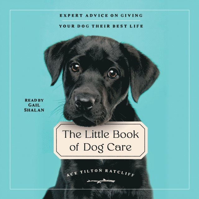 Ace Tilton Ratcliff - Little Book of Dog Care, Ljudbok