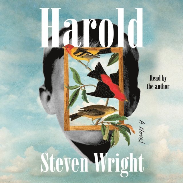 Steven Wright - Harold, Ljudbok