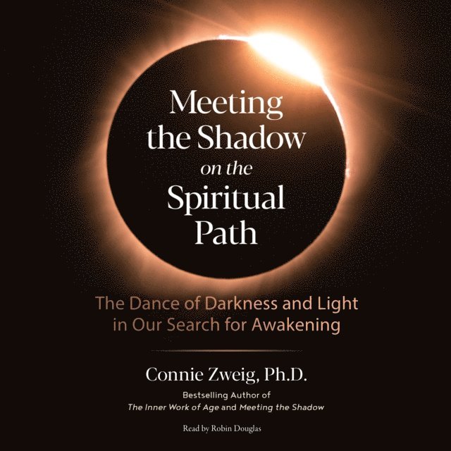 Connie Zweig - Meeting the Shadow on the Spiritual Path, Ljudbok