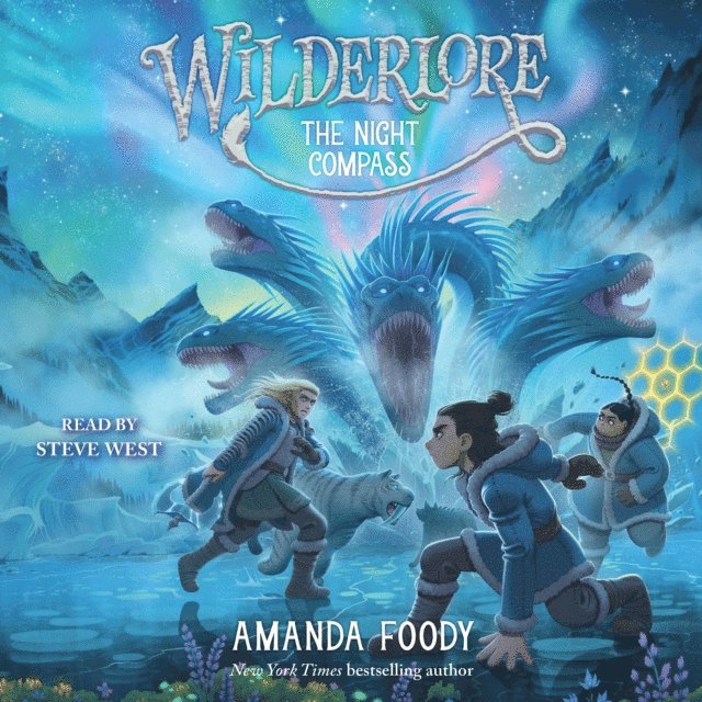 Amanda Foody - Night Compass, Ljudbok