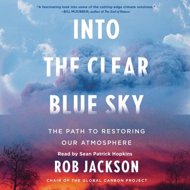 Rob Jackson - Into the Clear Blue Sky, Ljudbok