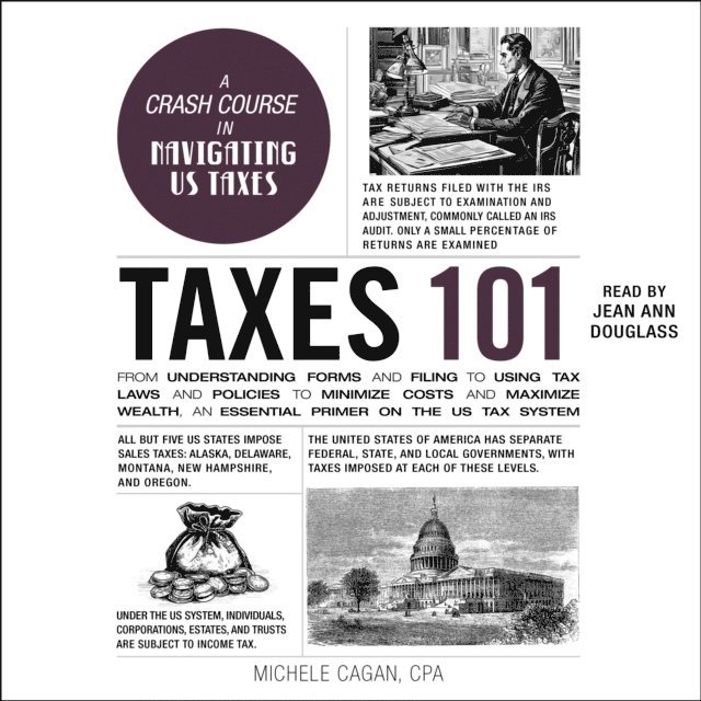 Michele Cagan - Taxes 101, Ljudbok