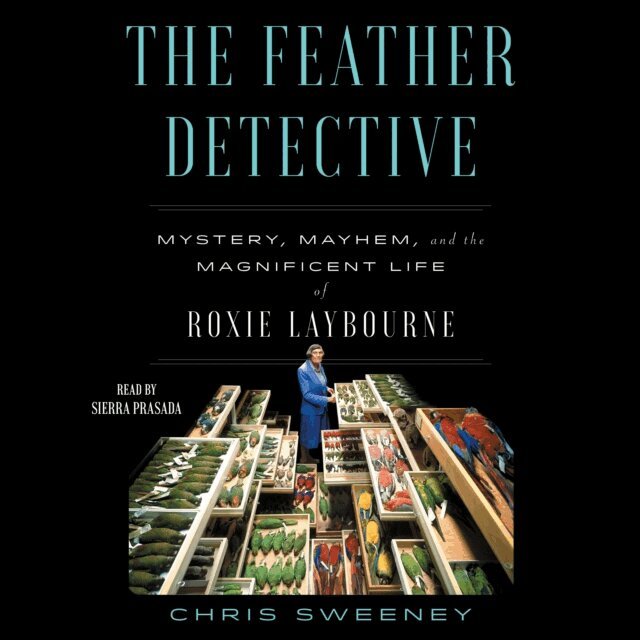 Chris Sweeney - Feather Detective, Ljudbok