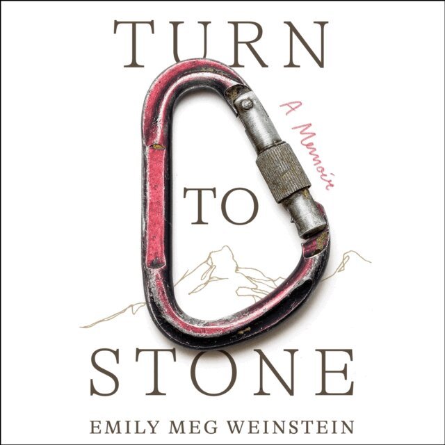 Emily Meg Weinstein - Turn to Stone, Ljudbok