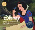 Disney a Year of Animation 2024 Daily Calendar