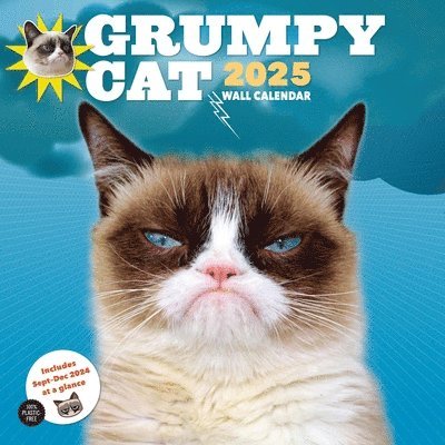 Grumpy Cat - Grumpy Cat 2025 Wall Calendar, Övrigt