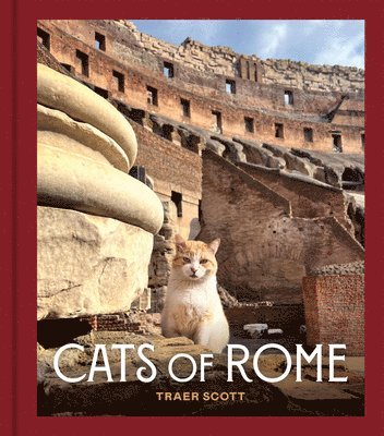 Traer Scott - Cats of Rome, Inbunden
