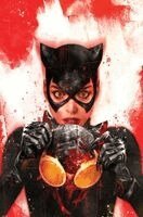 Torunn Gronbekk - Catwoman Vol. 4: Where the Heart Is, Häftad. Tillgänglighet: Kommande