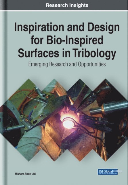 Hisham - Inspiration and Design for Bio-Inspired Surfaces in Tribology: Emerging Research and Opportunities, E-bok