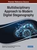 Multidisciplinary Approach to Modern Digital Steganography
