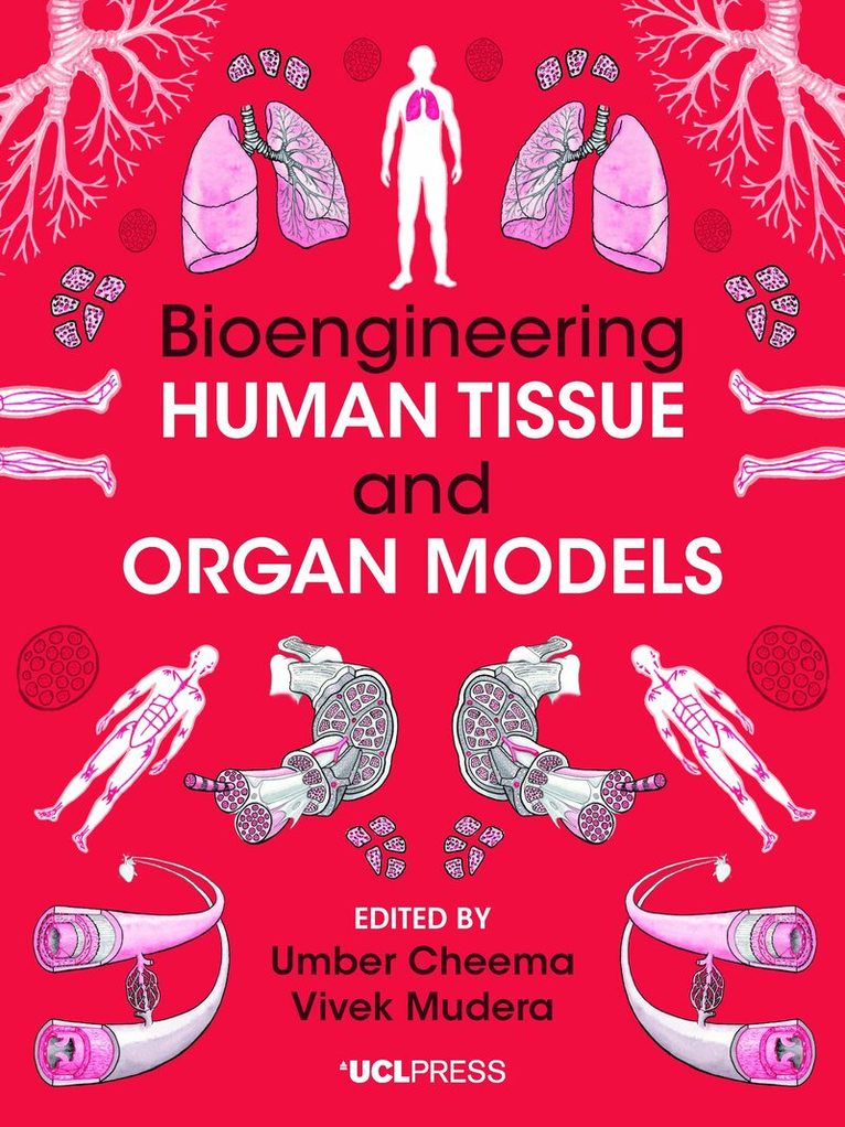 Bioengineering Human Tissue and Organ Models