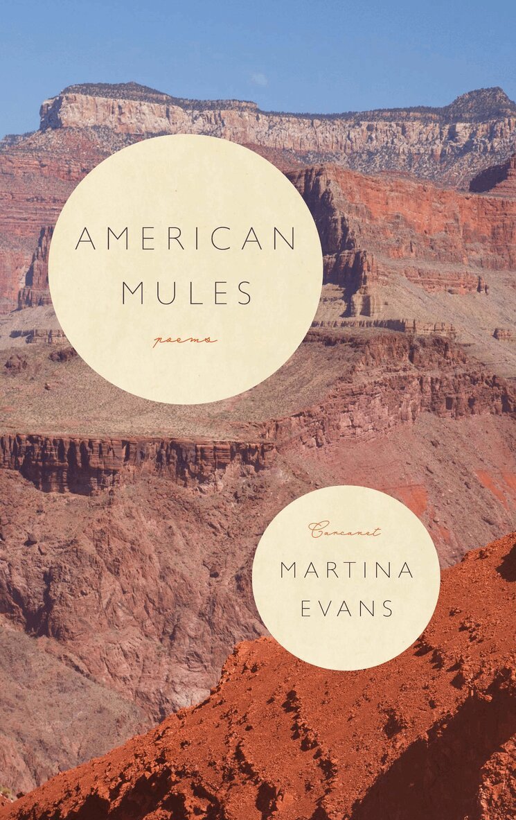 Martina Evans - American Mules, Häftad