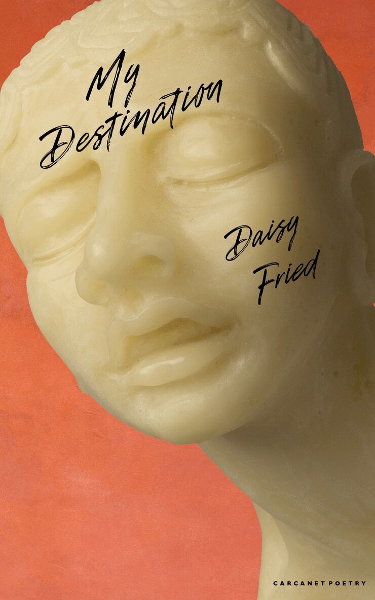 Daisy Fried - My Destination, Häftad