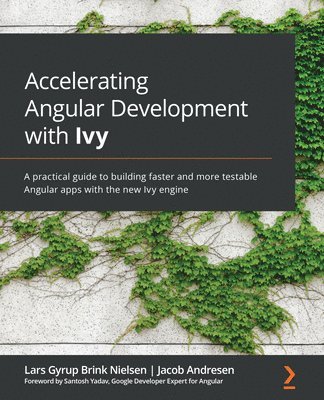 Lars Gyrup Brink Nielsen, Mateus Carniatto, Jacob Andresen - Accelerating Angular Development with Ivy, Häftad