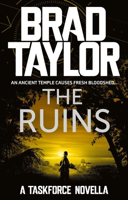 Brad Taylor - Ruins, E-bok