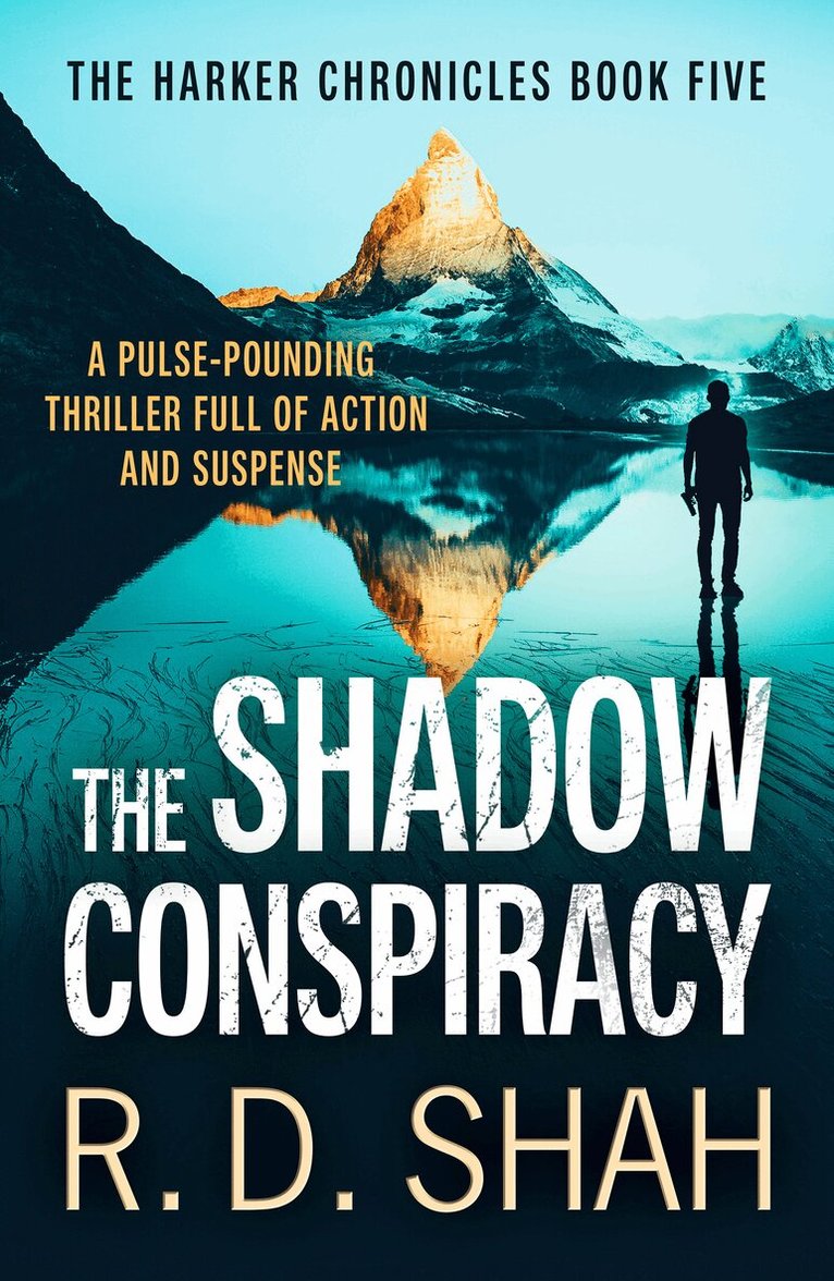 R.D. Shah - Shadow Conspiracy, Häftad