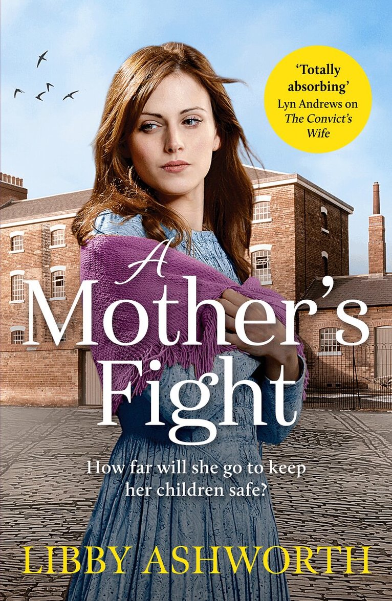 Libby Ashworth - Mother's Fight, Häftad