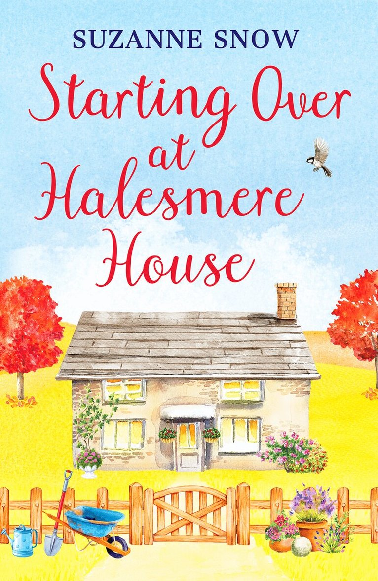 Suzanne Snow - Starting Over at Halesmere House, Häftad