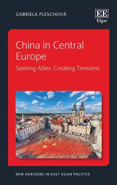 Gabriela Pleschova - China in Central Europe, E-bok
