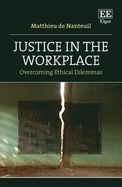Matthieu de Nanteuil - Justice in the Workplace, E-bok