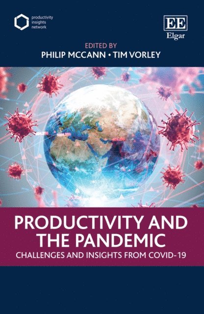 Tim Vorley, Philip McCann - Productivity and the Pandemic, E-bok