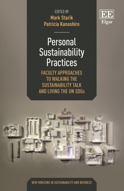 Patricia Kanashiro, Mark Starik - Personal Sustainability Practices, E-bok