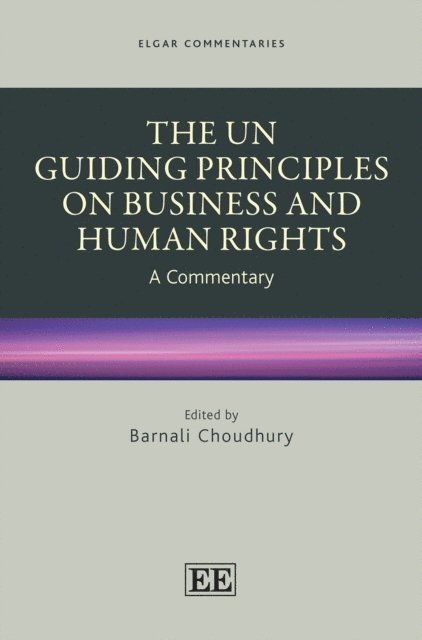 Barnali Choudhury - UN Guiding Principles on Business and Human Rights, E-bok