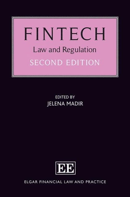 Jelena Madir - FinTech, E-bok