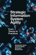 Strategic Information System Agility