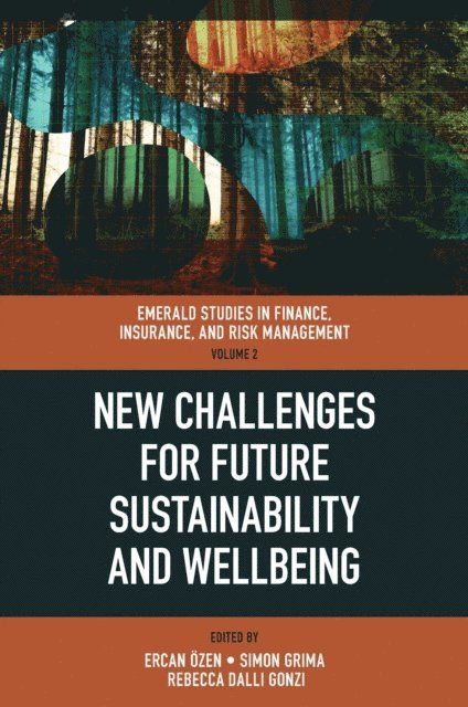 Rebecca E. Dalli Gonzi, Simon Grima, Ercan Ozen - New Challenges for Future Sustainability and Wellbeing, E-bok