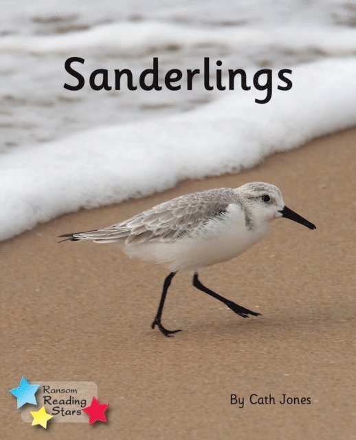 Cath Jones - Sanderlings, E-bok