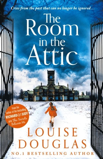 Louise Douglas - Room in the Attic, E-bok