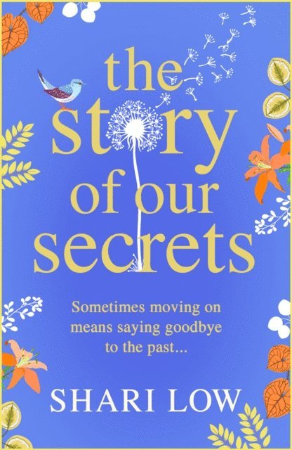 Shari Low - Story of Our Secrets, E-bok