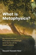 What Is Metaphysics?