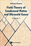 Field Theory Of Condensed Matter And Ultracold Gases - Volume 1
