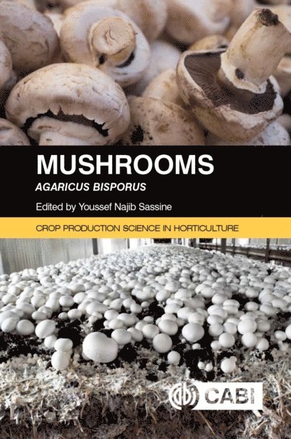 Youssef Najib Sassine - Mushrooms, E-bok
