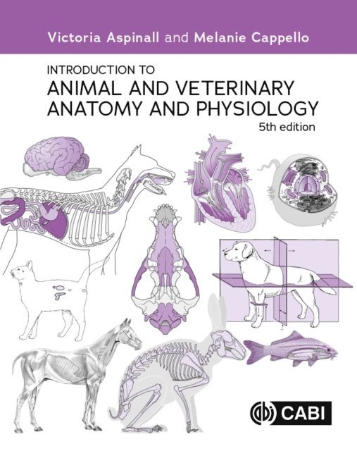 Victoria Aspinall BVSc, MRCVS, Melanie Cappello BSc (Hons) Zoology, PGCE, VN - Introduction to Animal and Veterinary Anatomy and Physiology, E-bok