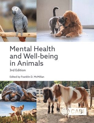 Franklin D. McMillan - Mental Health and Well-being in Animals, Inbunden