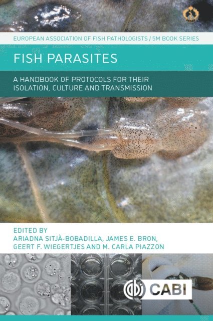 Ariadna Sitjà-Bobadilla, Maria Carla Piazzon, James Bron, Geert Wiegertjes - Fish Parasites, E-bok