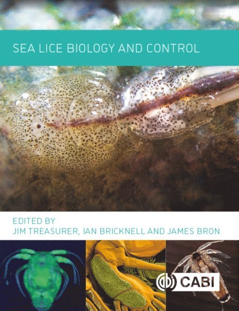 Jim Treasurer, Ian Bricknell, James Bron - Sea Lice Biology and Control, E-bok