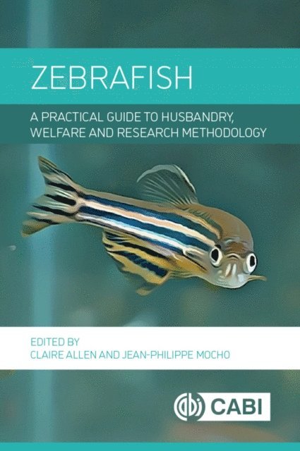 Claire Allen, Jean-Philippe Mocho - Zebrafish, E-bok