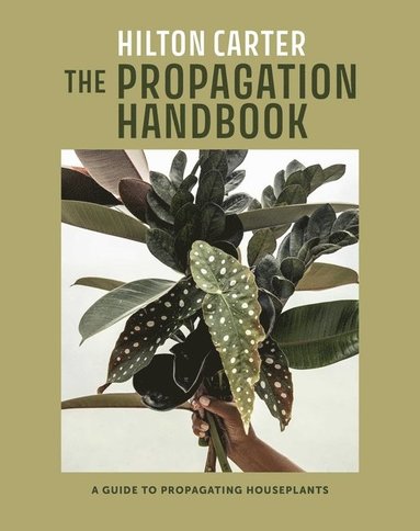 Propagation Handbook av Hilton Carter, Hilton Carter