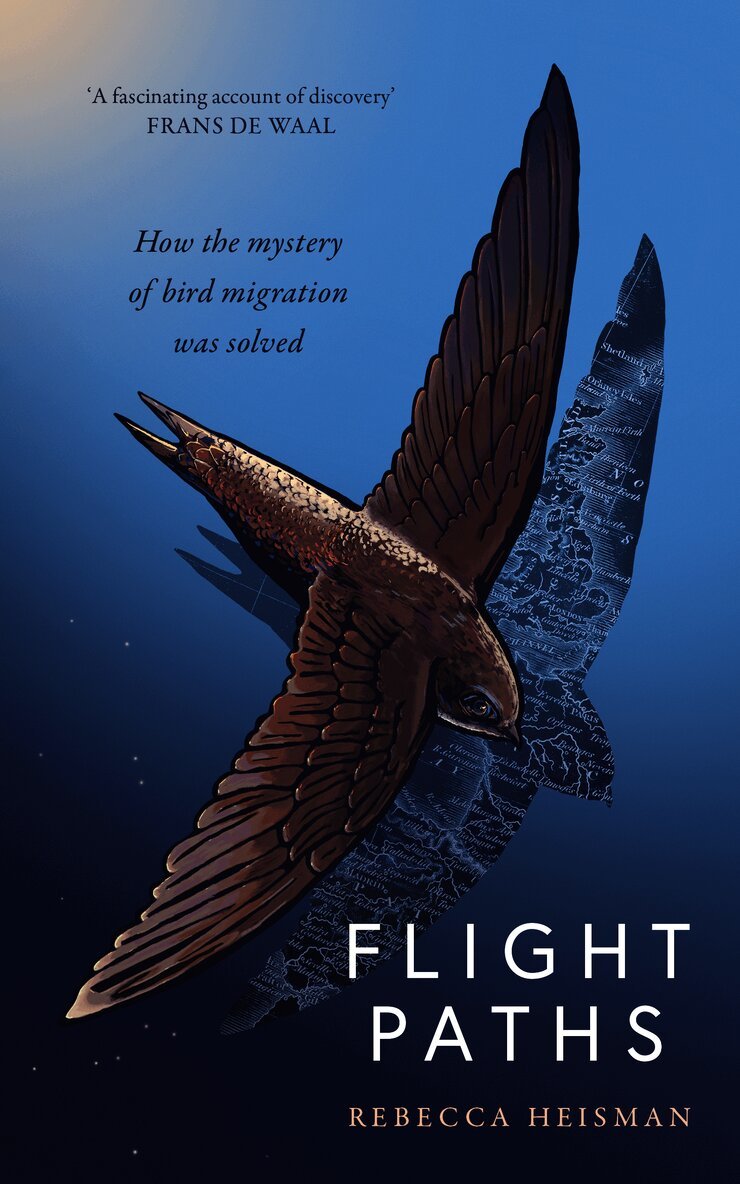 Rebecca Heisman - Flight Paths, Inbunden