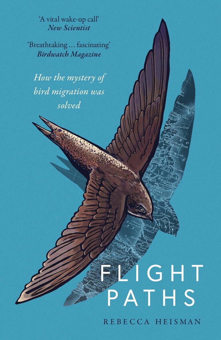 Rebecca Heisman - Flight Paths, Häftad