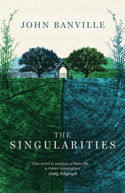 John Banville - Singularities, E-bok