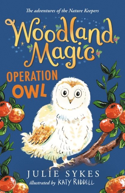 Julie Sykes - Woodland Magic 4: Operation Owl, E-bok