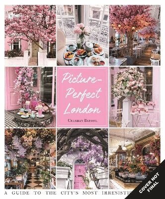 Gulshan Batool - Picture-perfect London, Inbunden