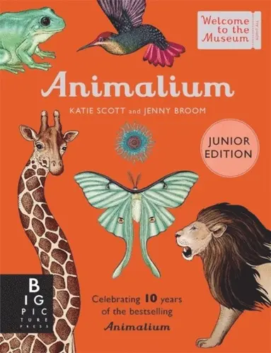 Jenny Broom - Animalium (Junior Edition), Inbunden
